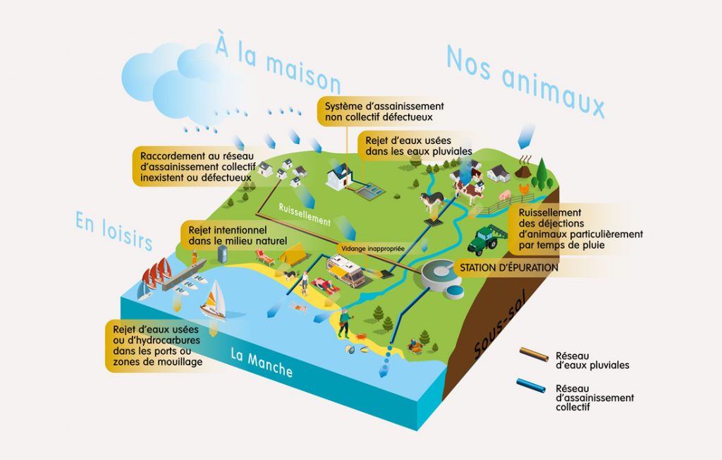 La restauration de la qualité des eaux littorales - Sage - Baie de Lannion