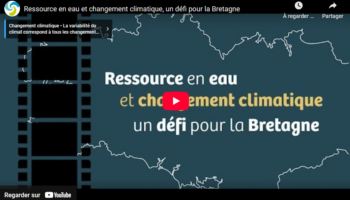 Film CRESEB